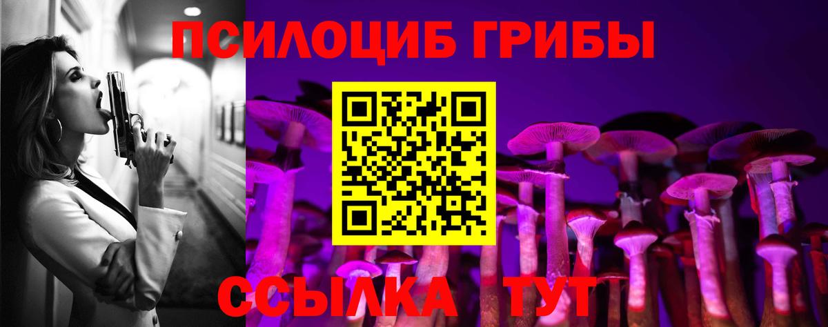 Кондопога  Галлюциногенные грибы мухоморы  Галлюциногенные грибы мицелий  Вход с VPN 